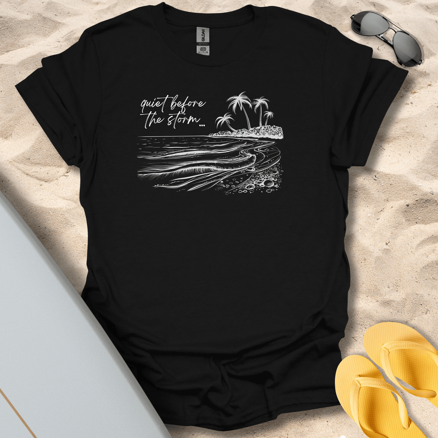 T-Shirt Black / S Quiet Before The Storm T-Shirt